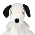 Snoopy Lovey & Door Pillow Gift Set