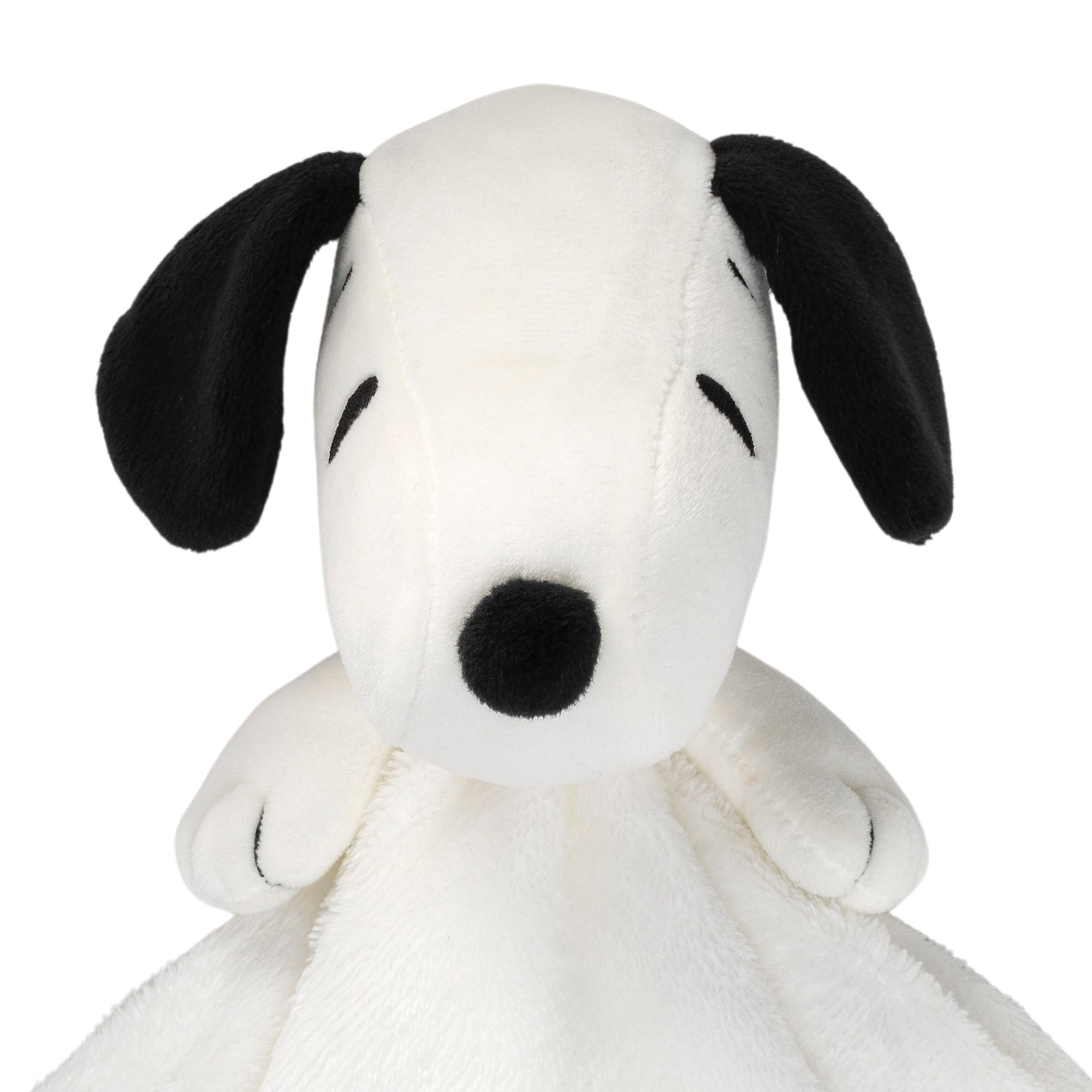 Snoopy Lovey & Door Pillow Gift Set