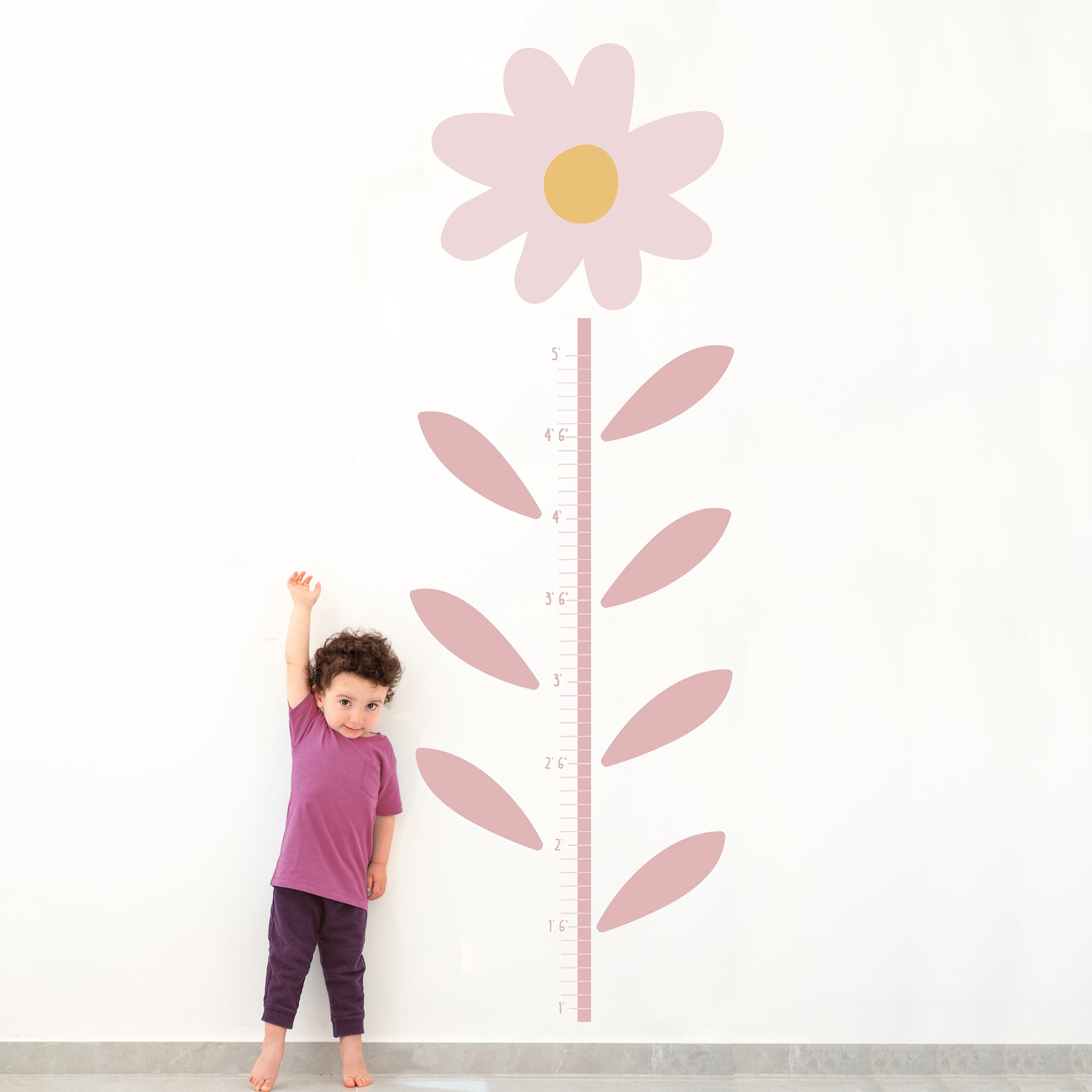 Daisy Dreams Growth Chart