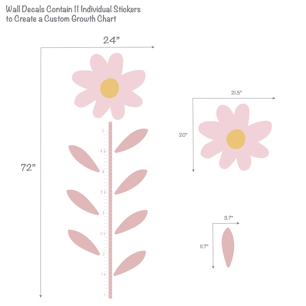 Daisy Dreams Growth Chart