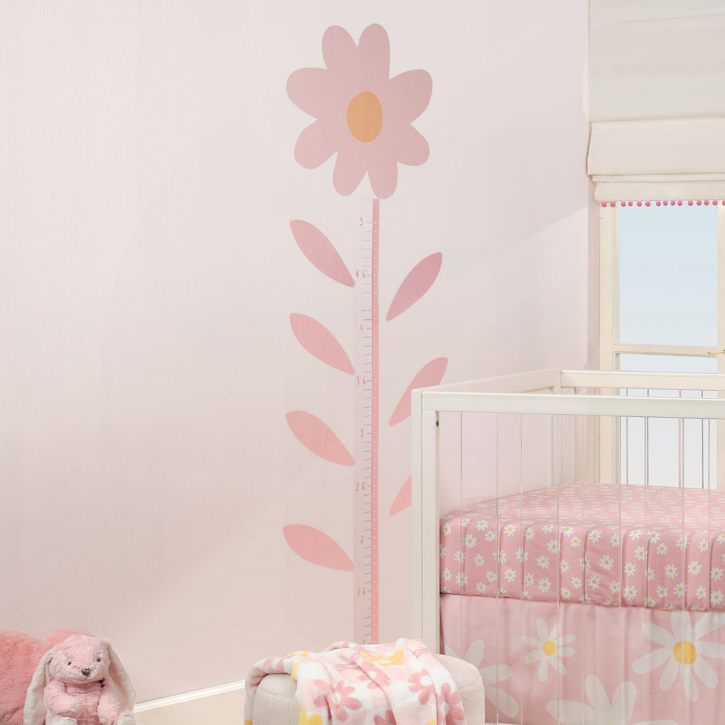 Daisy Dreams Growth Chart