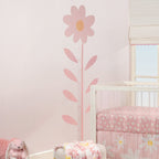 Daisy Dreams Growth Chart