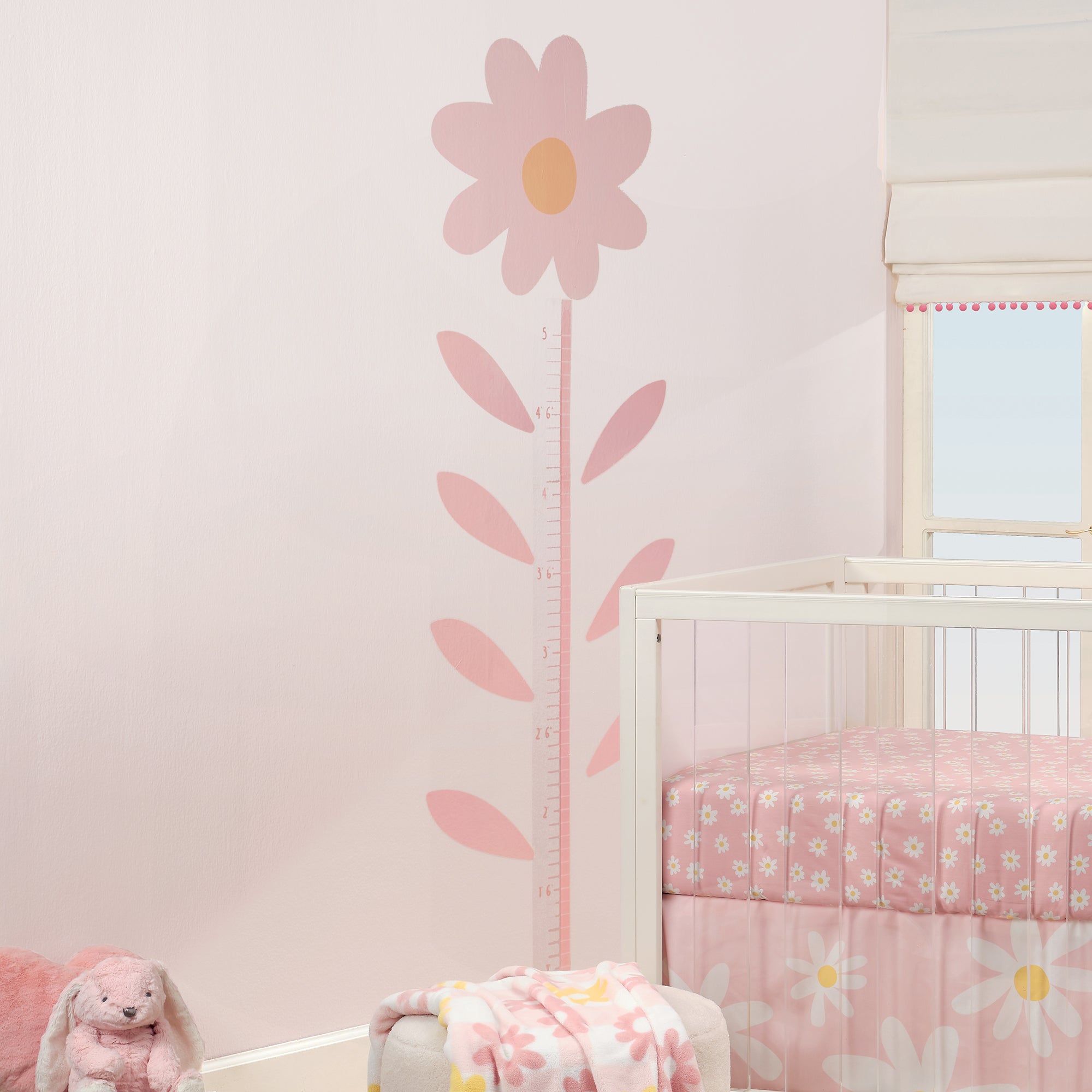 Daisy Dreams Growth Chart