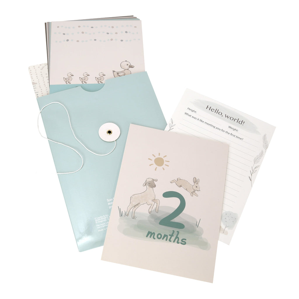 Baby Keepsake Milestone Cards