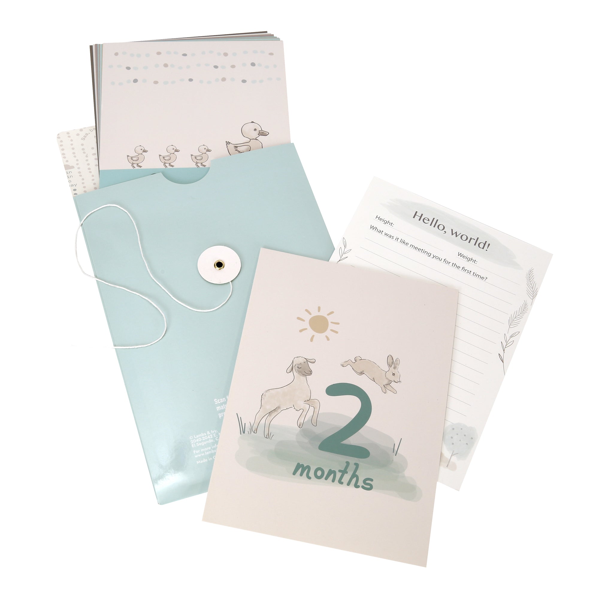 Baby Keepsake Milestone Cards