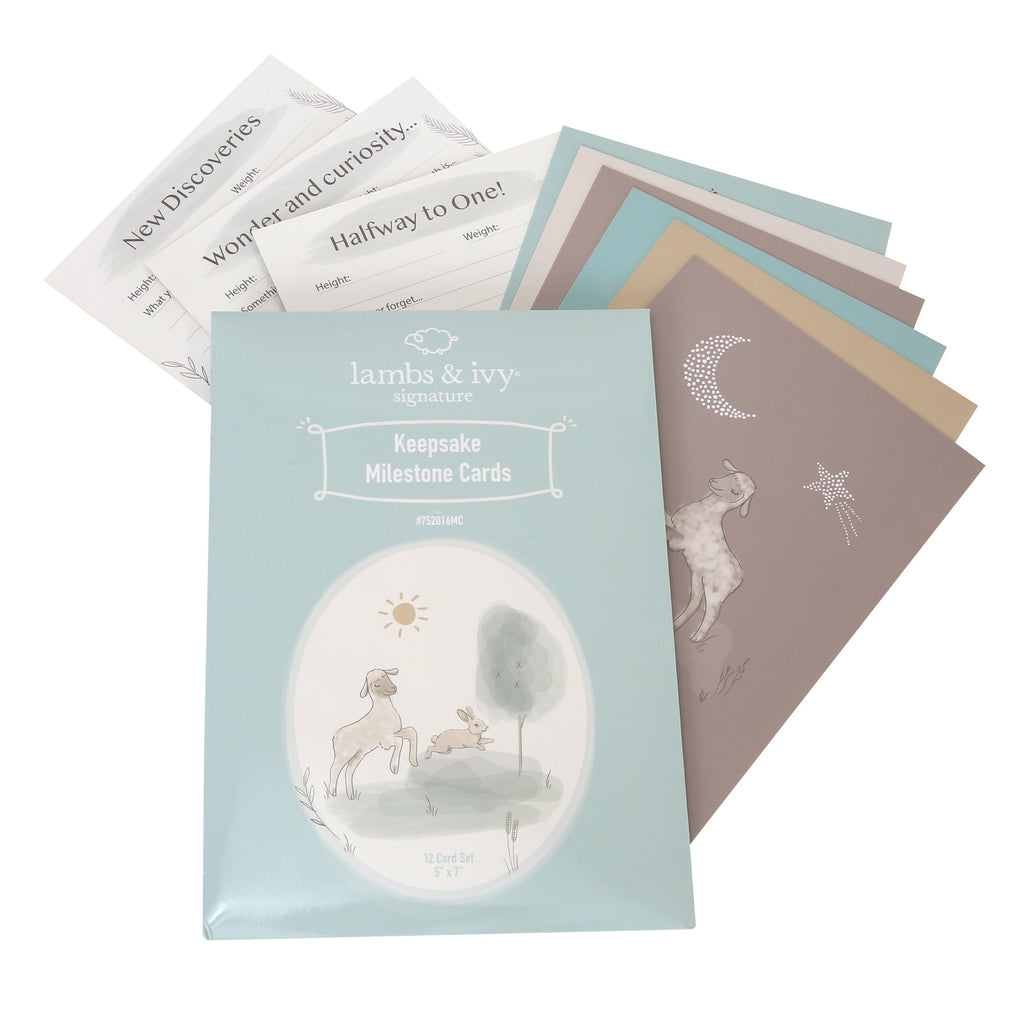 Baby Keepsake Milestone Cards