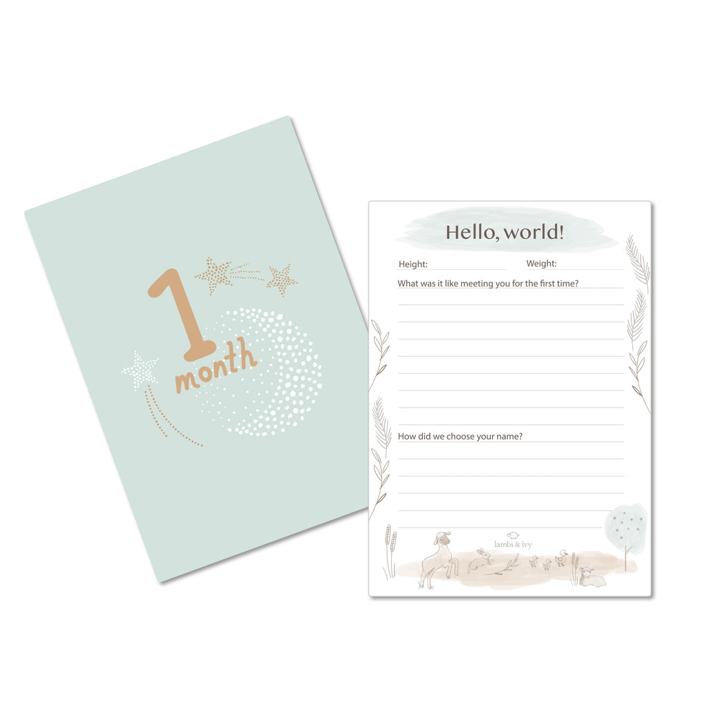 Baby Keepsake Milestone Cards