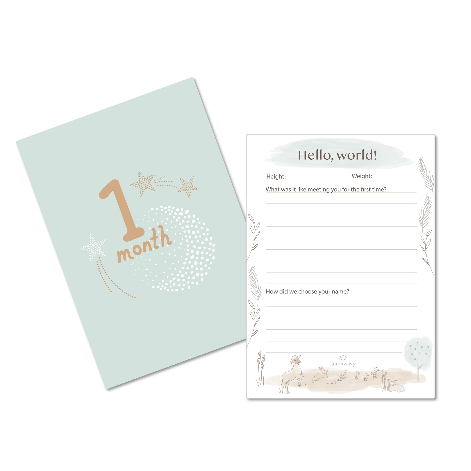 Baby Keepsake Milestone Cards