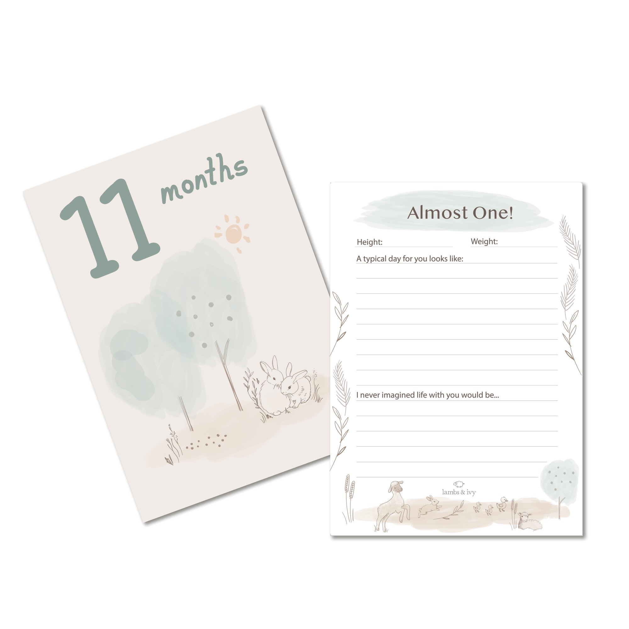 Baby Keepsake Milestone Cards