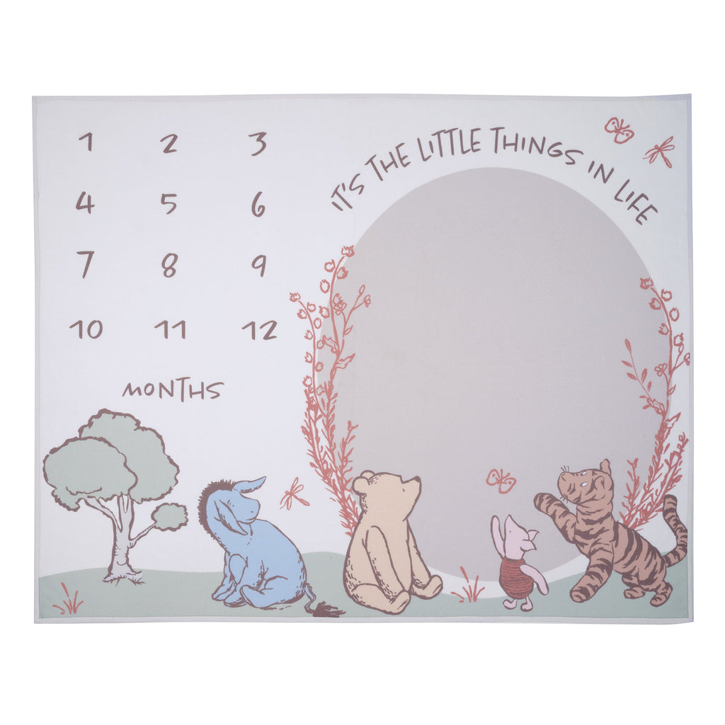 Pooh Bear & Pals Milestone Baby Blanket
