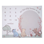 Pooh Bear & Pals Milestone Baby Blanket