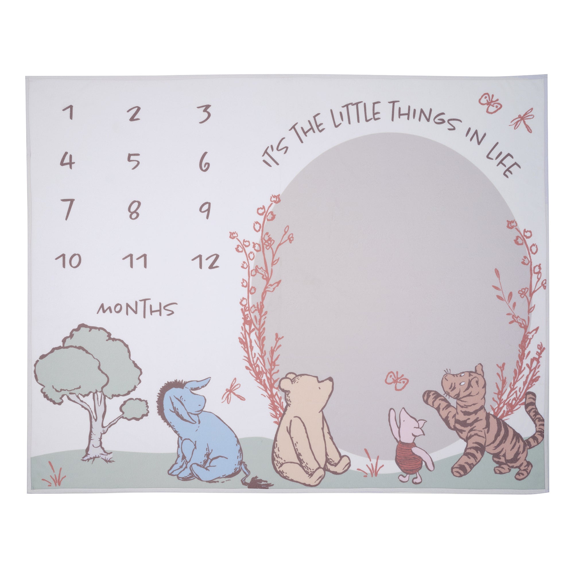 Pooh Bear & Pals Milestone Baby Blanket