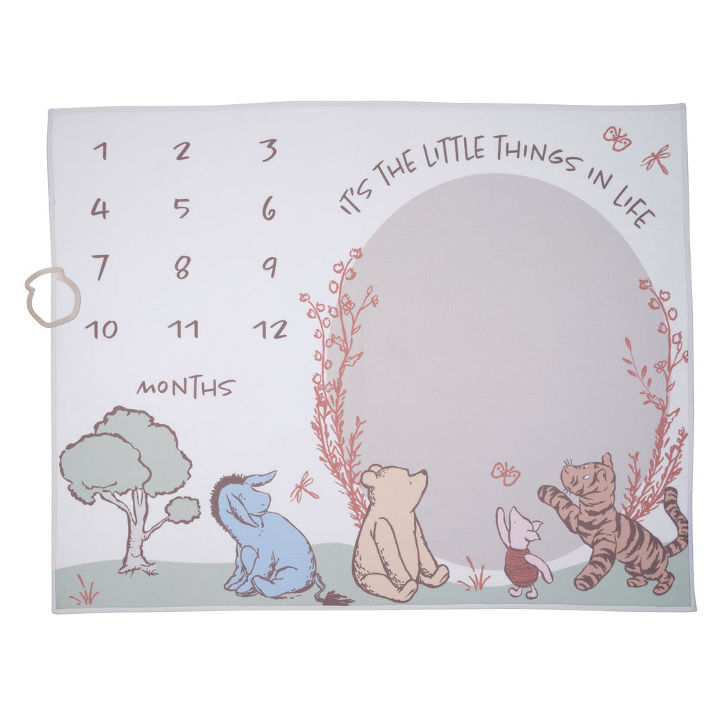 Pooh Bear & Pals Milestone Baby Blanket