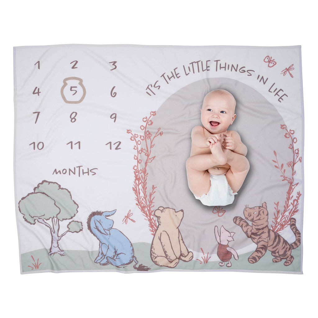 Pooh Bear & Pals Milestone Baby Blanket