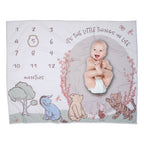 Pooh Bear & Pals Milestone Baby Blanket