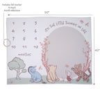 Pooh Bear & Pals Milestone Baby Blanket