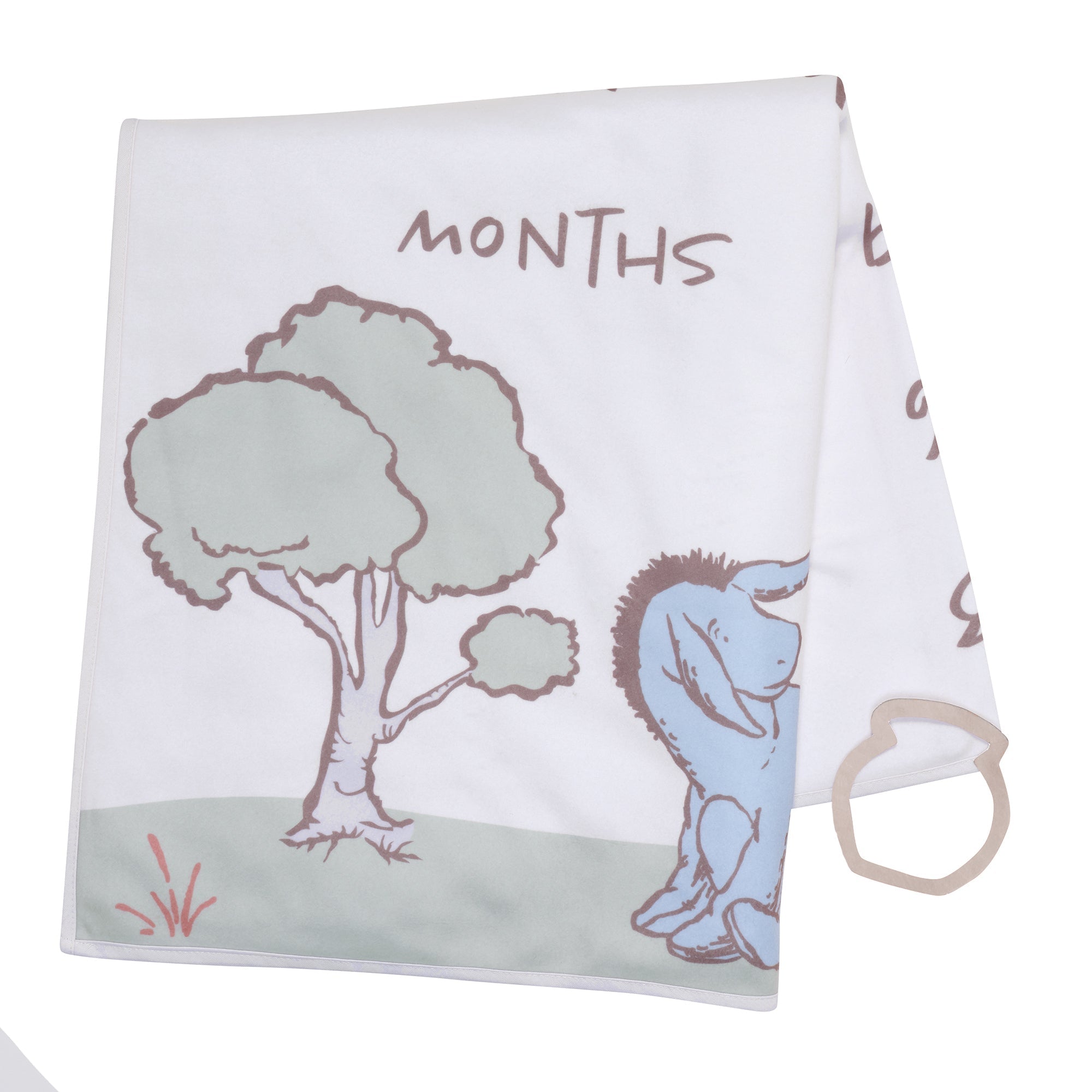 Pooh Bear & Pals Milestone Baby Blanket