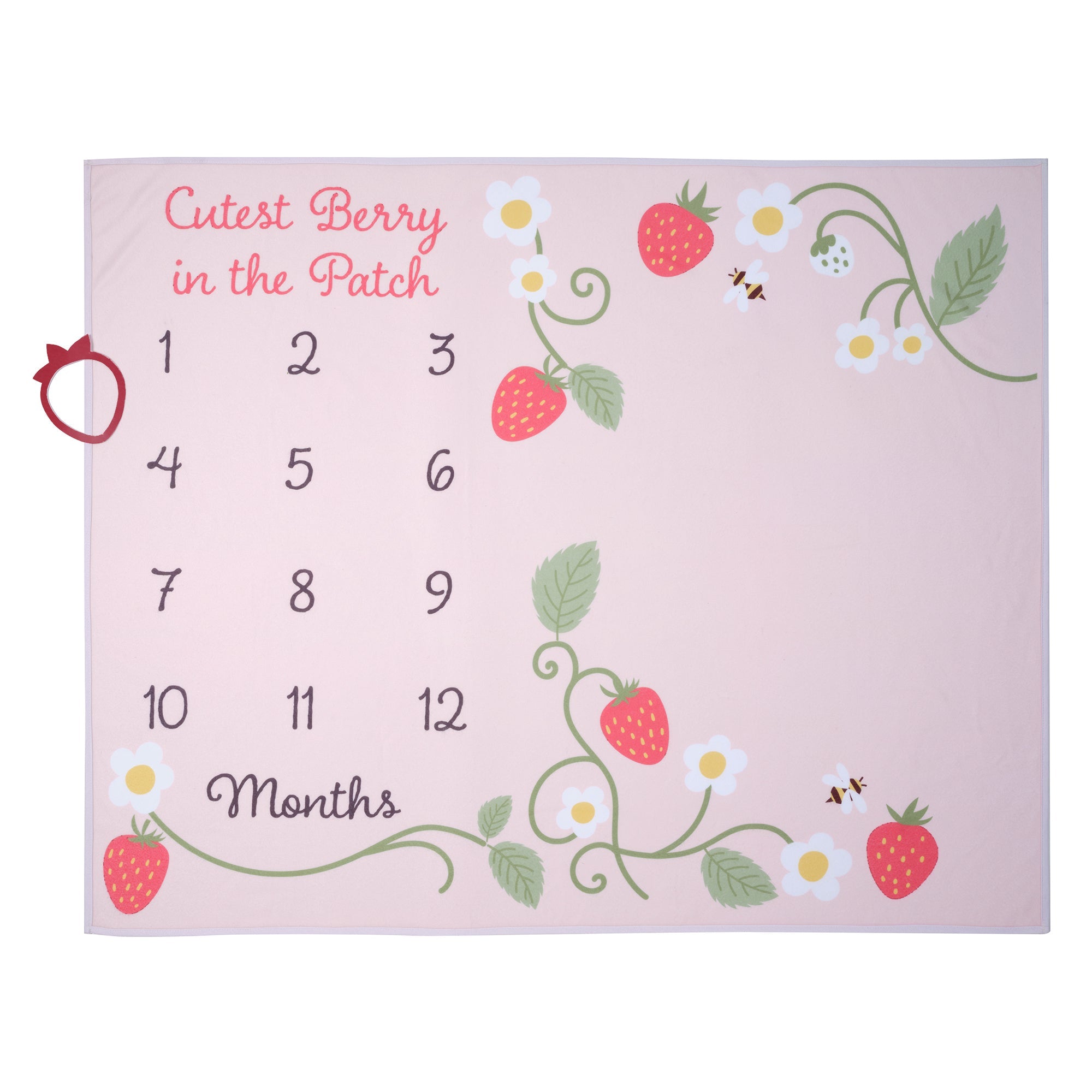 Strawberry Patch Milestone Baby Blanket