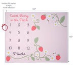 Strawberry Patch Milestone Baby Blanket