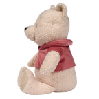 Winnie the Pooh & Friends Plush